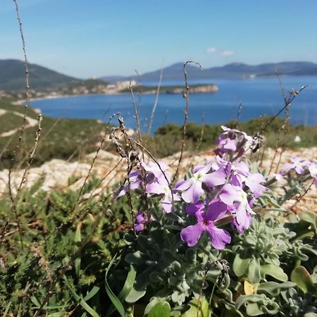 El Matorral Acomodação com café da manhã Alghero Exterior foto