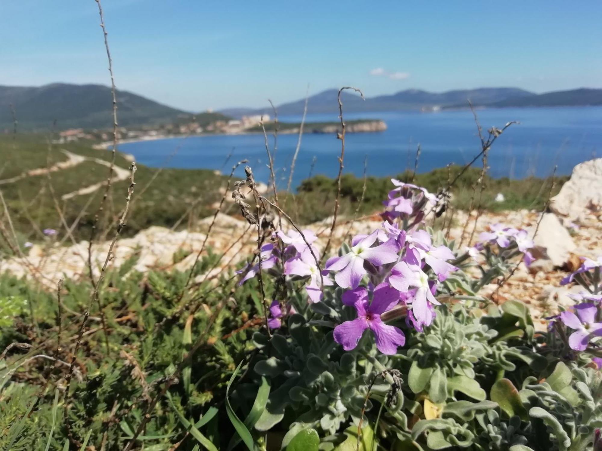 El Matorral Acomodação com café da manhã Alghero Exterior foto